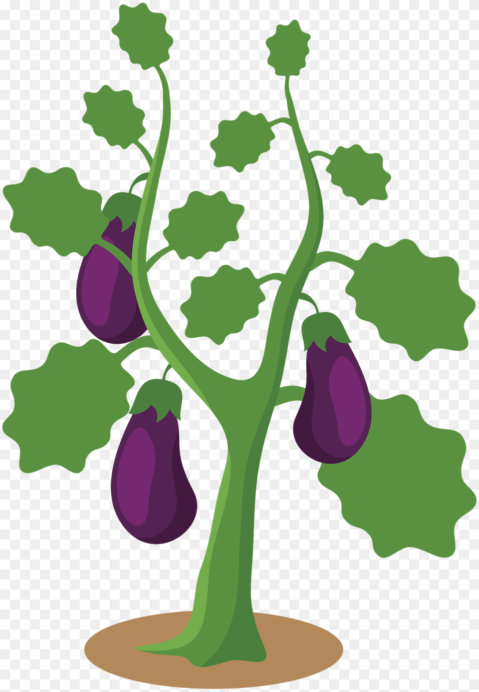 Eggplant Hanging Ripe On The Garden Plant Clipart, Food, Produce, Vegetable Free Transparent Png