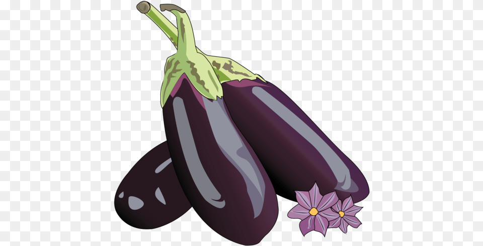 Eggplant Lifespace Gardens Eggplant, Food, Produce, Plant, Vegetable Free Transparent Png
