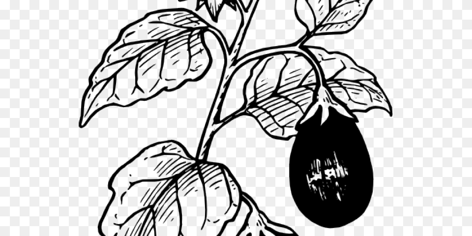 Eggplant Plant Clipart Black And White, Food, Produce Png