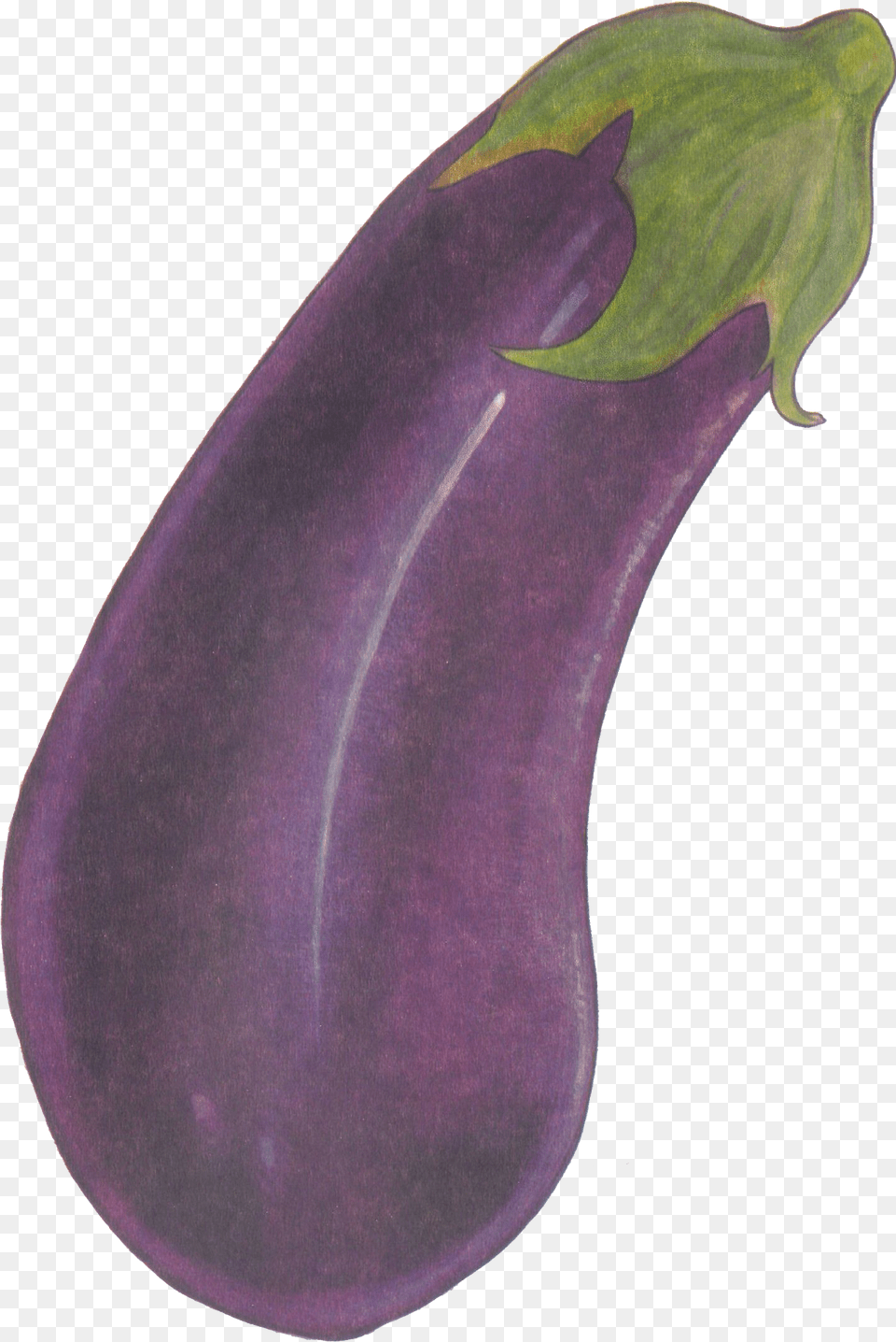 Eggplant Purple Health Love Eggplant 1427 Eggplant, Food, Produce, Plant, Vegetable Free Png Download