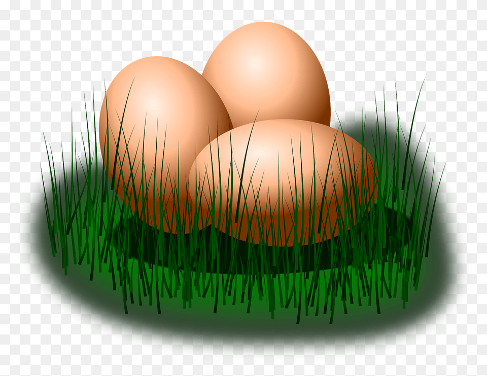Eggs In Grass Clipart, Egg, Food, Birthday Cake, Cake Free Png