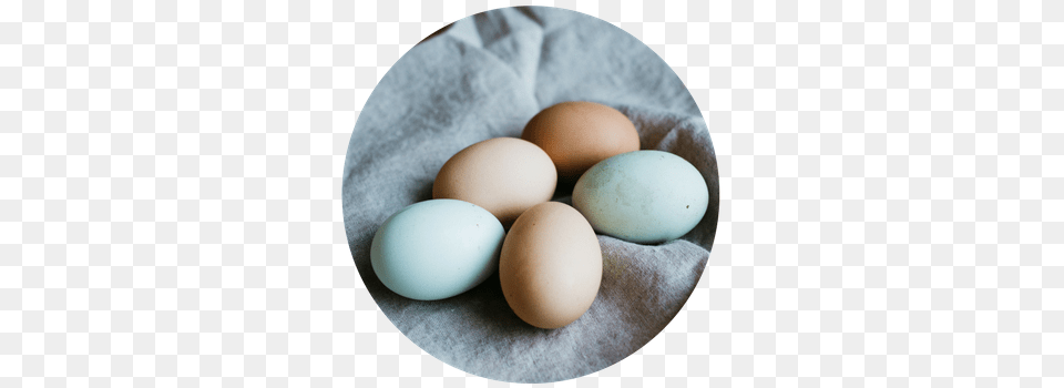 Eggs Product Egg, Food, Easter Egg Png Image