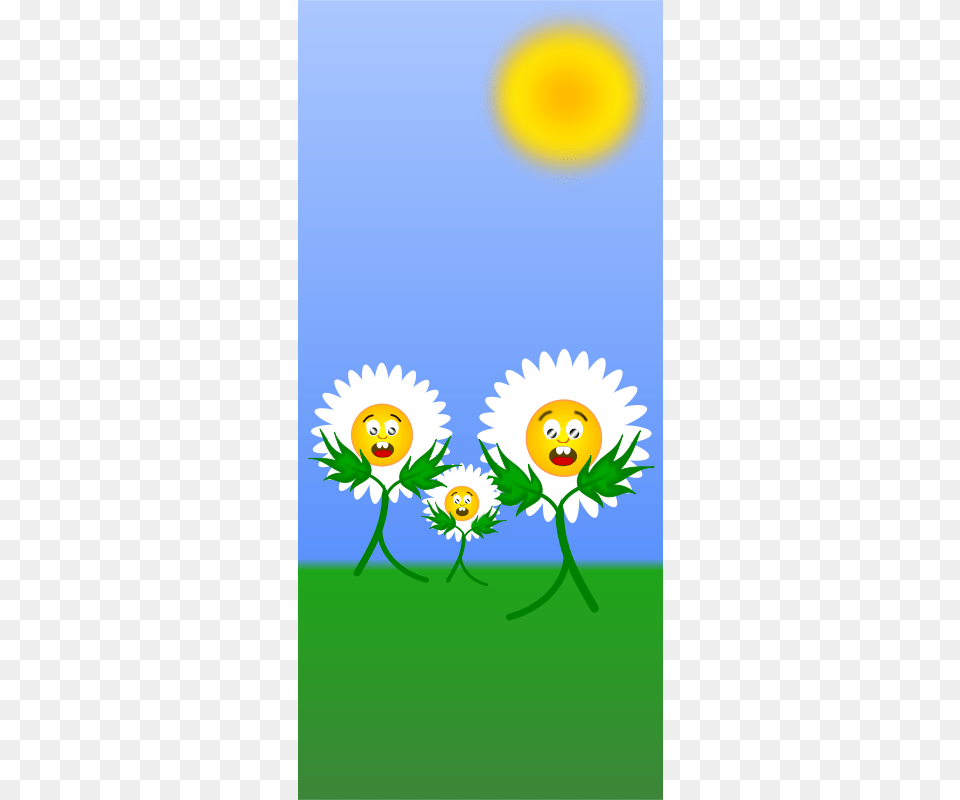 Egonpin Flores, Daisy, Flower, Plant, Outdoors Png