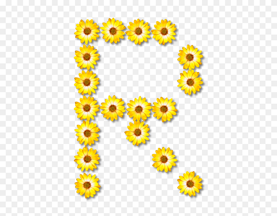Egr Power Summit Common Sunflower Data Advertising Free Png