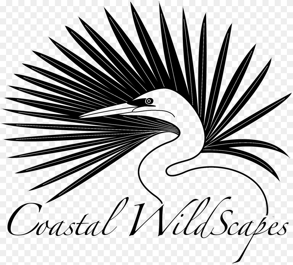 Egret, Animal, Bird, Crane Bird, Waterfowl Free Png Download