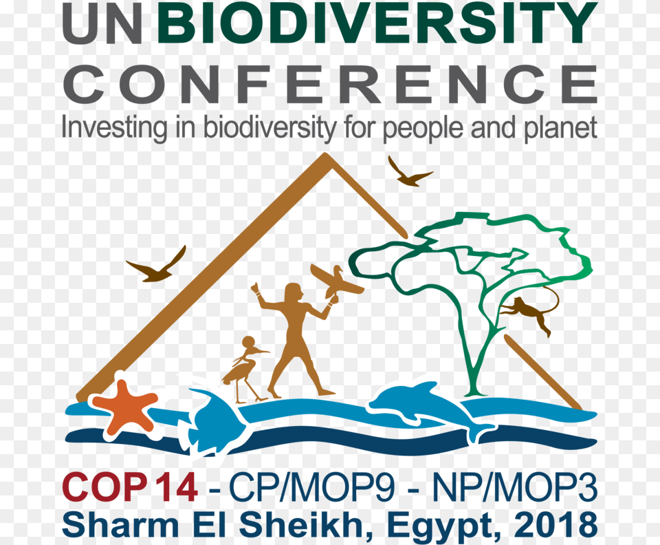 Egypt Cop14 Logo Final Text Topbottom International Day For Biological Diversity 2019, Advertisement, Person, Poster, Animal Free Png Download