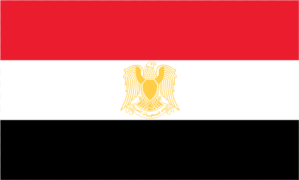 Egypt Flag Logo Vector Illustration, Animal, Reptile, Sea Life, Turtle Free Png