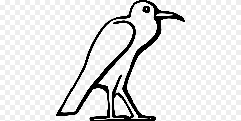 Egypt River Bird, Animal, Kangaroo, Mammal Free Png Download