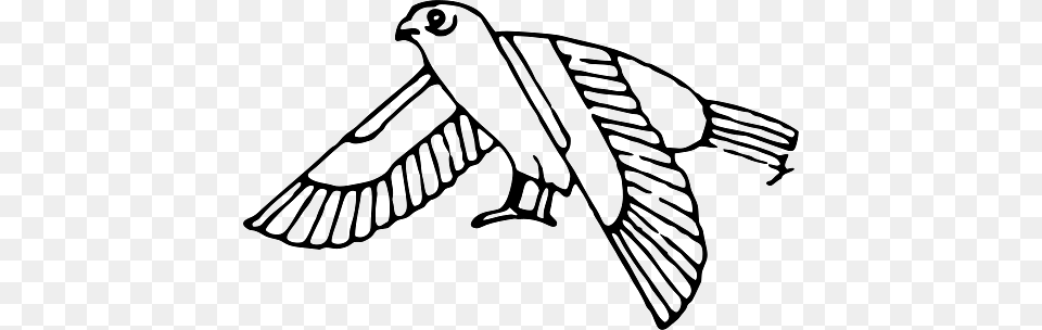 Egypt Sacred Eagle, Animal, Bird, Mammal, Wildlife Png