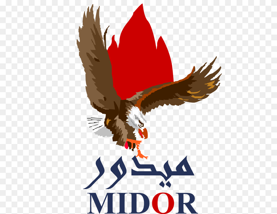 Egyptian Brand Midor Midor, Animal, Bird, Flying, Beak Png Image