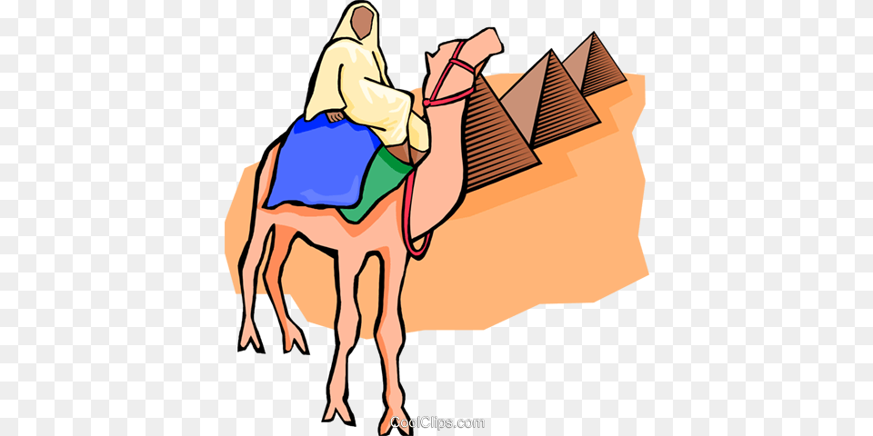 Egyptian On Camel Pyramids Royalty Vector Clip Art, Animal, Mammal, Baby, Person Free Png Download