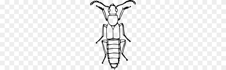 Egyptian Scarab Beetle Clip Art, Gray Free Transparent Png