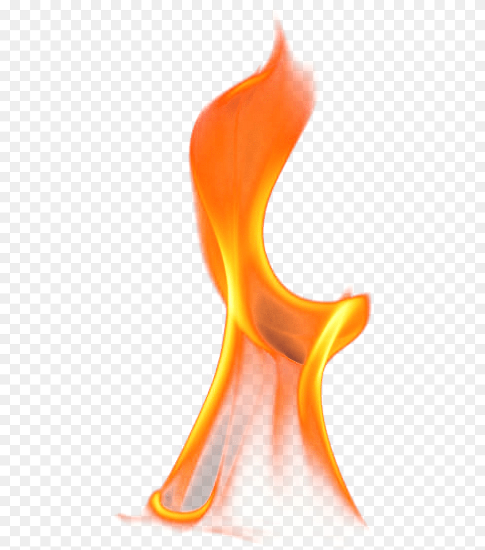 Eh I See On Flame, Fire, Bonfire, Animal, Bird Free Transparent Png