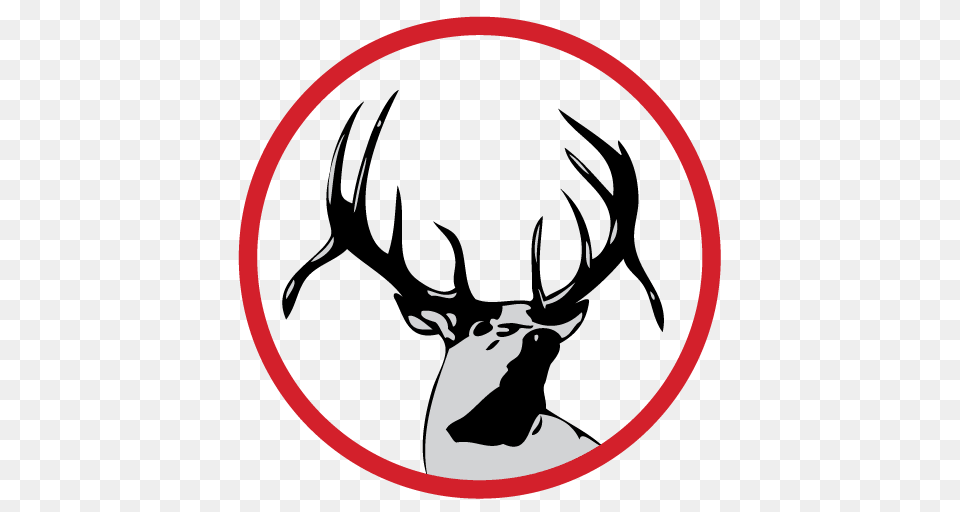 Ehs Cheer Tryouts Season Elkhorn High School, Animal, Deer, Mammal, Wildlife Free Transparent Png