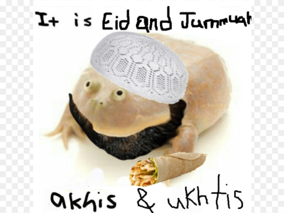 Eid Mubarak Akhis Wednesday Frog, Clothing, Hat, Food, Meal Free Transparent Png