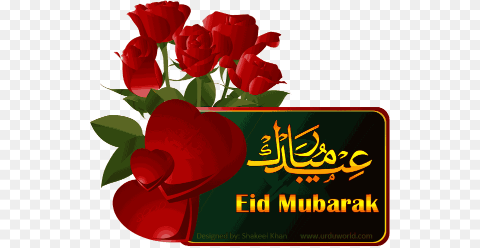 Eid Mubarak To One And All Eid Mubarak Image Download, Flower, Plant, Rose, Petal Png