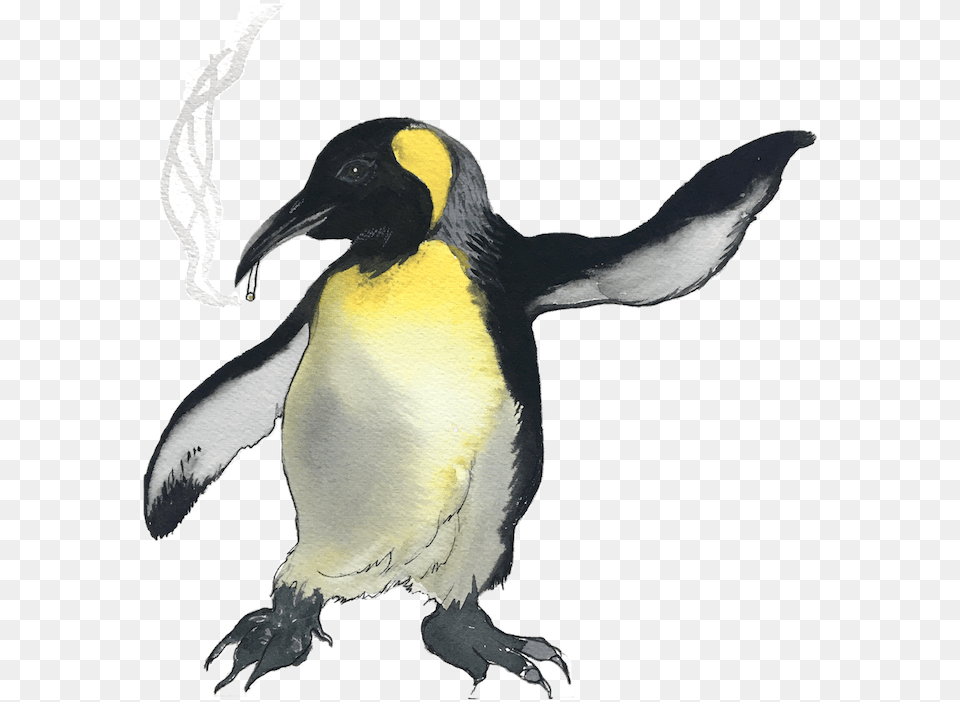 Eight New Species Of The Pandemic Tyee Emperor Penguin, Animal, Bird, King Penguin Free Png