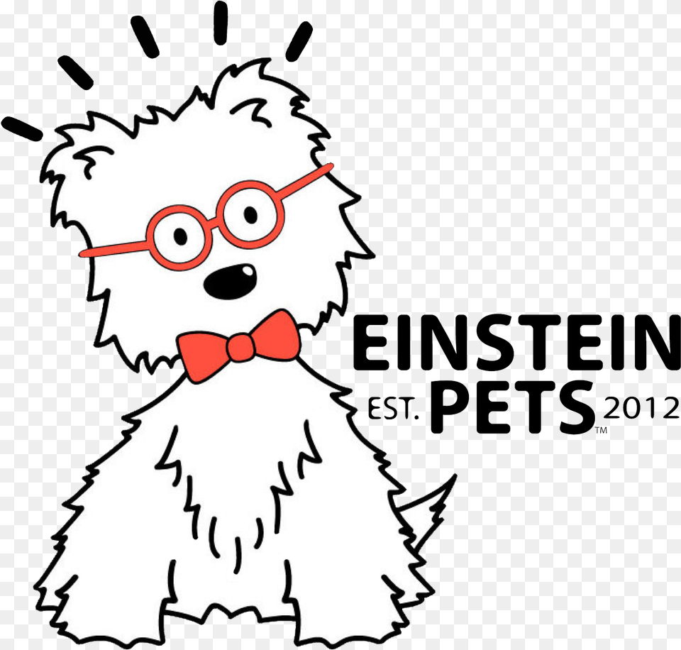 Einstein Pets 1075 4107 All Na, Adult, Bride, Female, Person Free Png