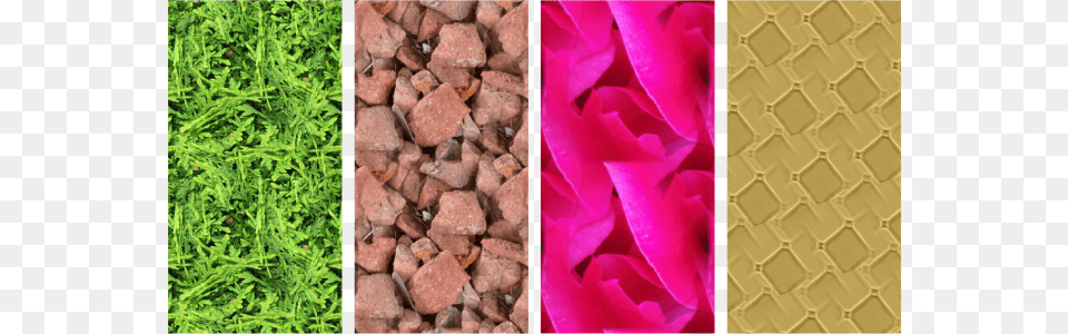 Ejemplos De Rellenos De Patrn De Mapa De Bits Rubble, Flower, Plant, Rose, Petal Png Image