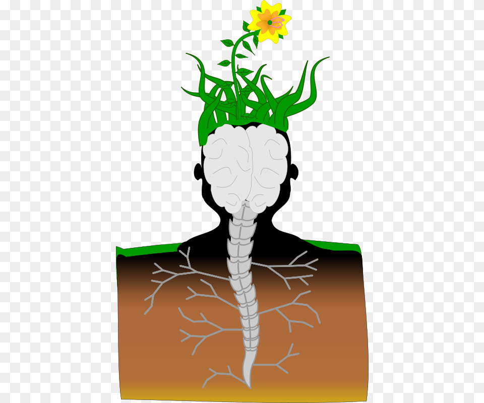El, Flower, Plant, Art, Daffodil Png