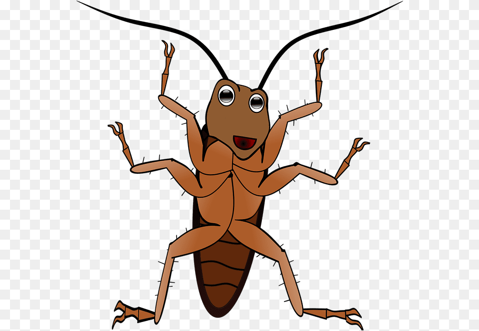 El Caso De La 39cucaracha Gigante39 Que Vigilaba A Una, Adult, Female, Person, Woman Png Image