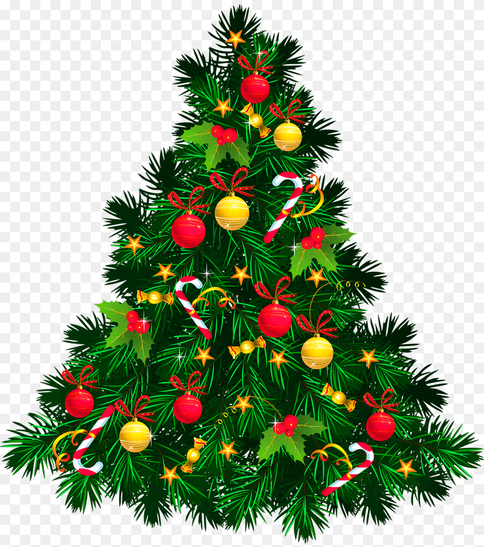 El De Navidad V Mj Duijasi Paz De Selva Verde, Plant, Tree, Christmas, Christmas Decorations Free Png