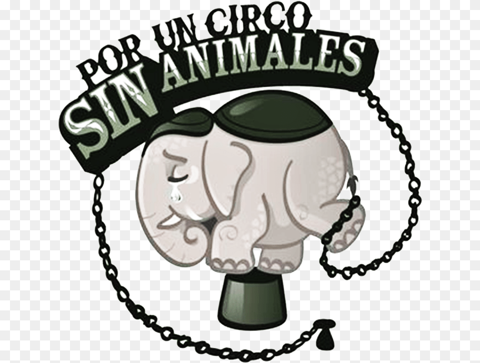 El Domingo 24 De Septiembre De 2017 En Salamanca Varias Circo Sin Animales Png