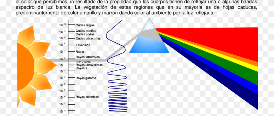 El Espectro Luminoso Y Los Lmites De La Luz Visible Light, Lighting, Art, Graphics, Person Free Png Download