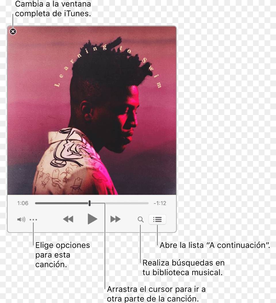 El Mini Reproductor Ampliado Que Muestra Los Controles Itunes Mini Player Mac Os, Adult, Skin, Person, Man Free Transparent Png