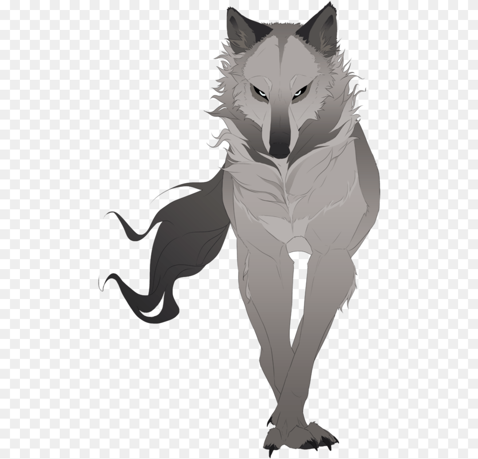 El Ngel De Las Aus Animales Art Wolf And Drawn Anime Wolves, Person, Drawing Free Transparent Png