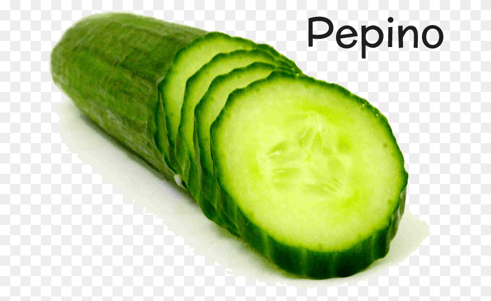 El Origen Del Pepino Se Sita En Las Regiones Tropicales Types Of Cucumber, Food, Plant, Produce, Vegetable Free Png Download