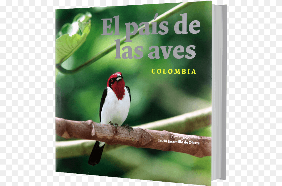 El Pas De Las Aves Colombia Land Of Birdscolombia Book, Animal, Bird, Finch, Beak Free Png