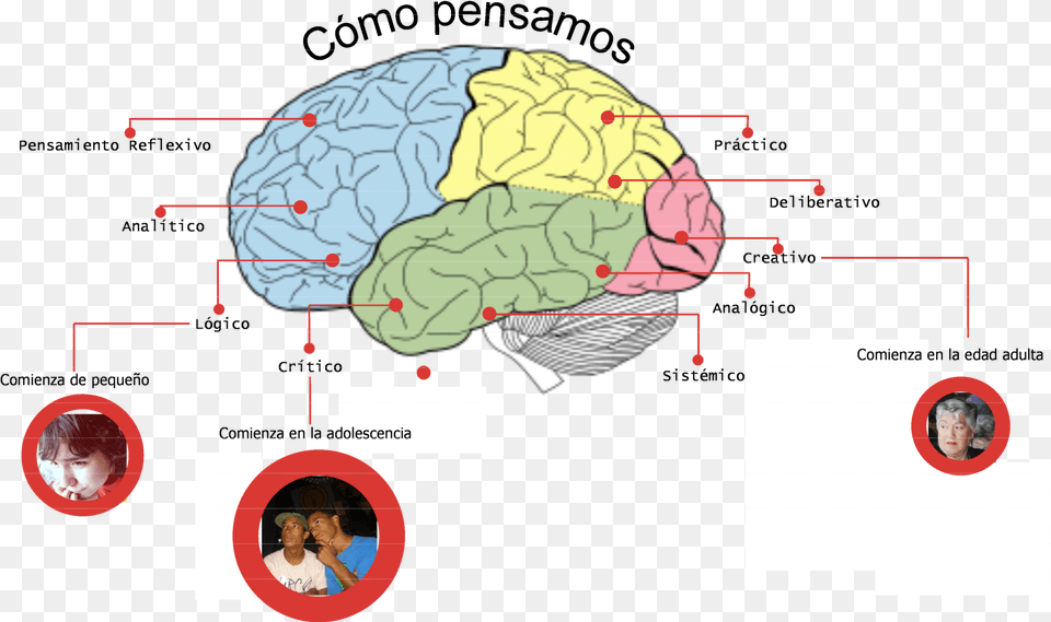 El Pensamiento Creativo Science Of Human Nature A Psychology, Chart, Ct Scan, Plot, Sphere Free Transparent Png