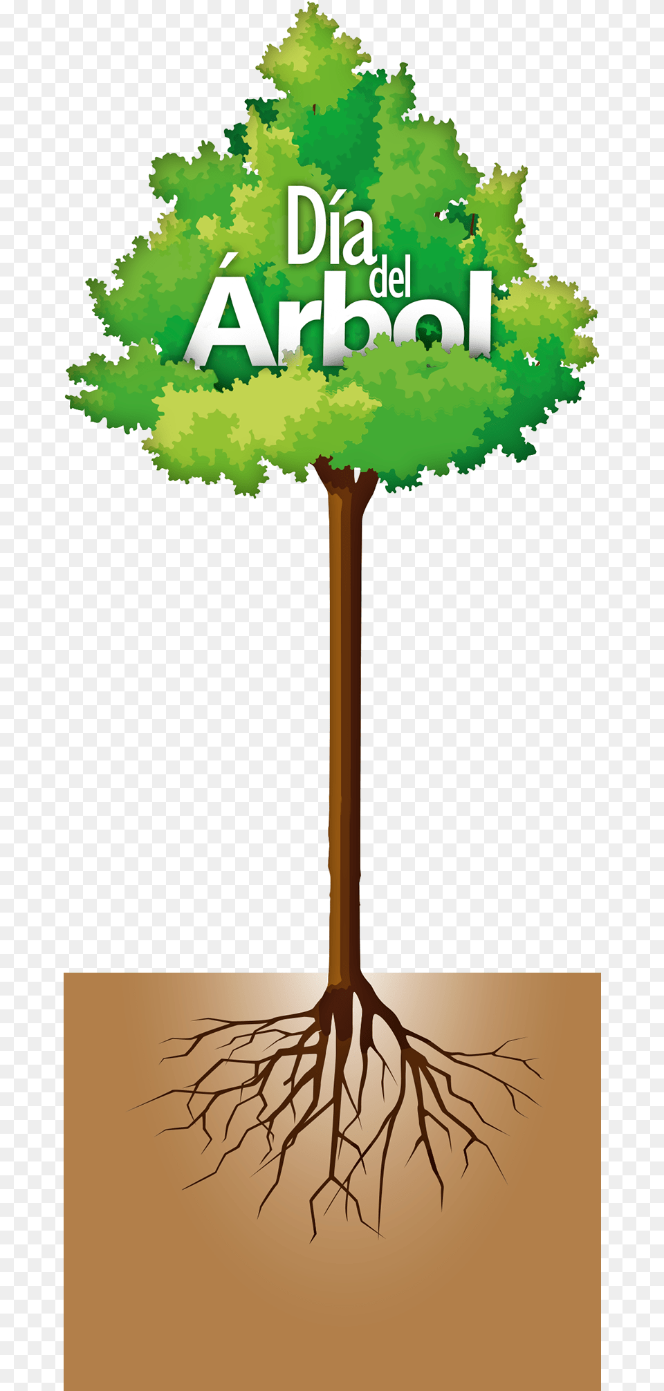 El Primer Pas Que Instituy Un Da En El Para Tree Vector, Plant, Root Png Image