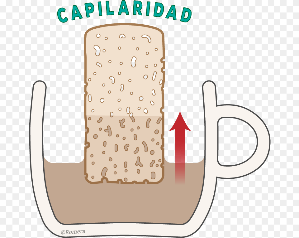 El Tejido Alveolar De Los Bizcochos Ejerce Capilaridad, Bread, Food, Smoke Pipe Png