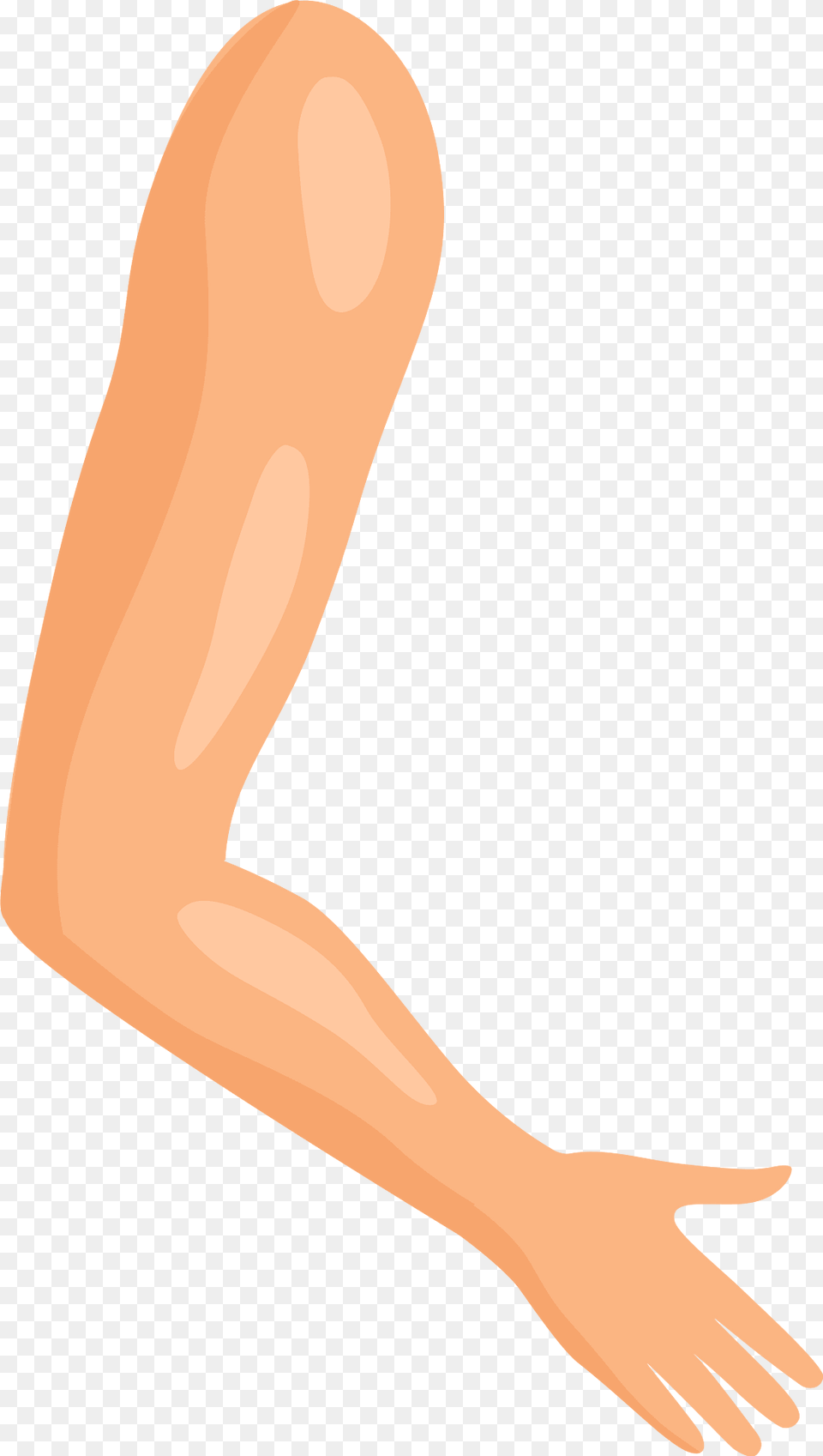 Elbow Clipart, Arm, Body Part, Person, Animal Png