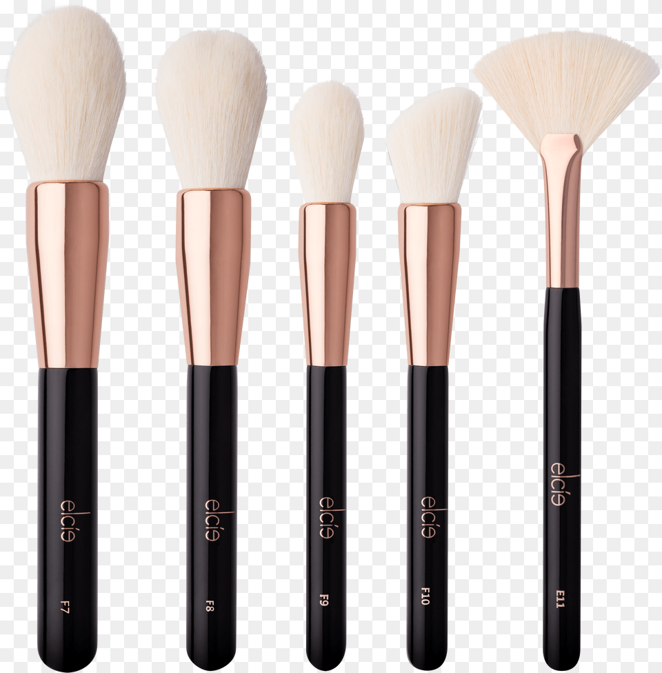 Elcie Brushes Png