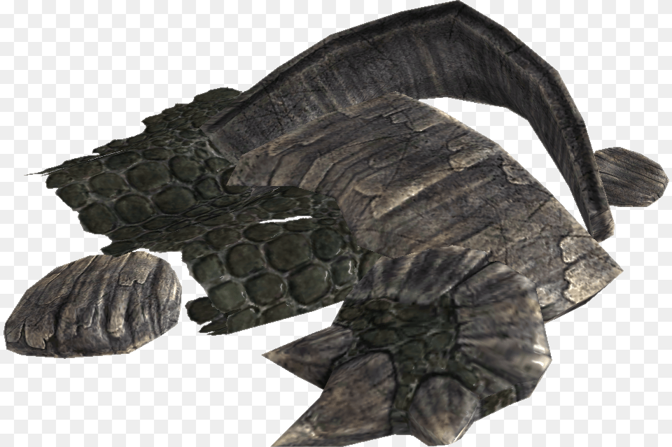 Elder Scrolls Dragon Scale Elder Scrolls, Animal, Electronics, Hardware, Reptile Free Transparent Png