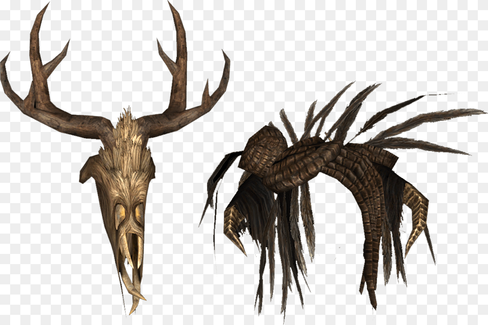 Elder Scrolls Forsworn Helmet, Antler, Animal, Dinosaur, Reptile Free Png Download