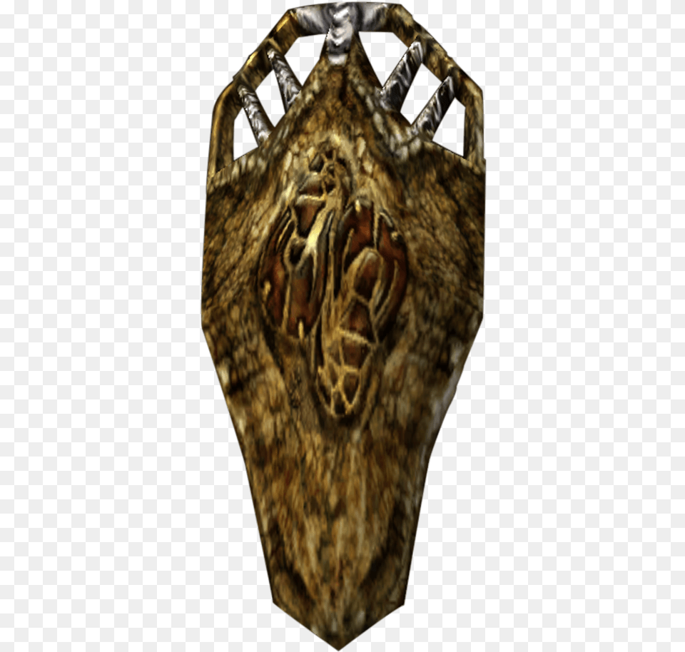 Elder Scrolls Insect, Armor, Shield, Adult, Bride Free Transparent Png