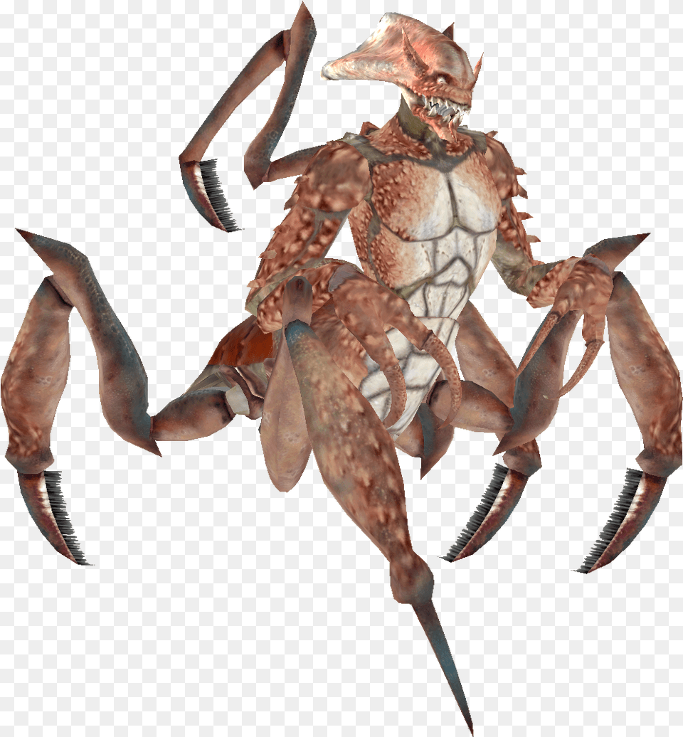 Elder Scrolls Lyg Grabbers, Seafood, Food, Animal, Sea Life Png