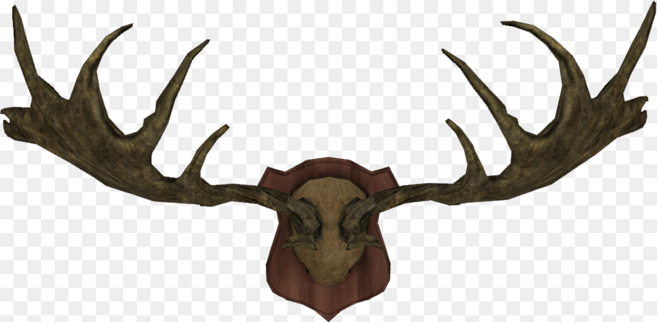 Elder Scrolls Moose Horns, Antler, Animal, Dinosaur, Reptile Png