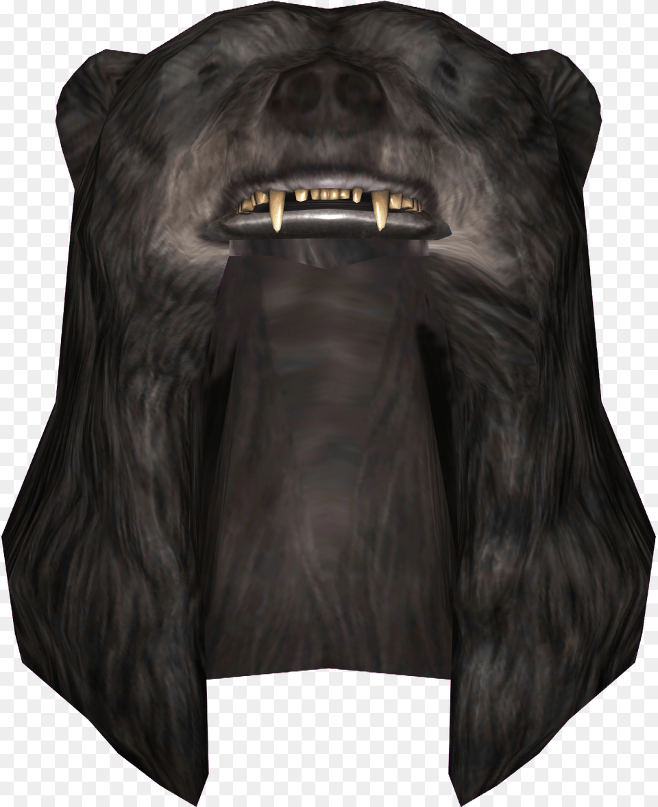 Elder Scrolls Skyrim Bear Hat, Animal, Canine, Dog, Hound Free Transparent Png