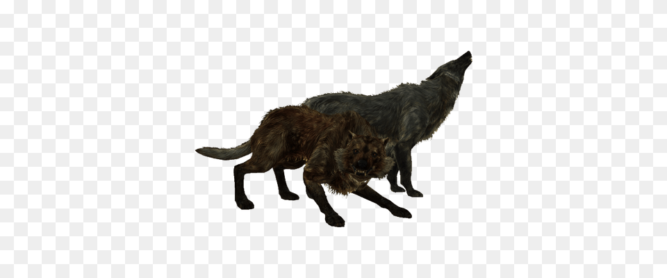 Elder Scrolls Skyrim Helmet Close Up Transparent, Animal, Canine, Dog, Mammal Png Image