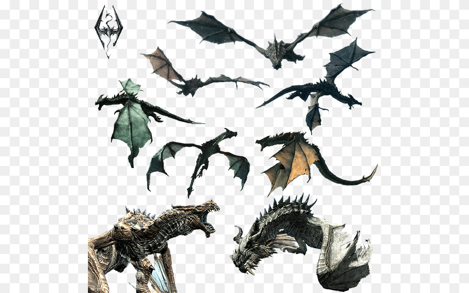 Elder Scrolls V Skyrim, Animal, Dinosaur, Reptile, Dragon Png Image
