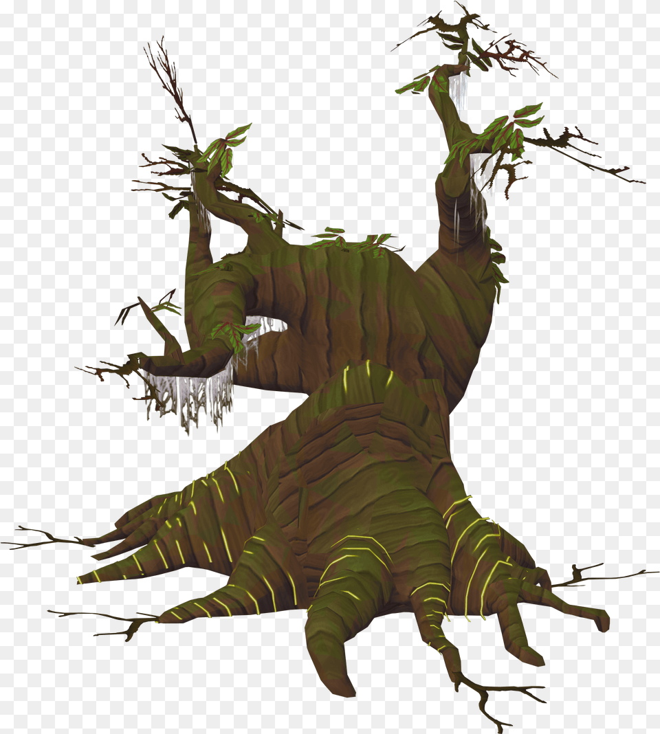 Elder Tree With No Background Portable Network Graphics, Electronics, Hardware, Baby, Person Free Transparent Png