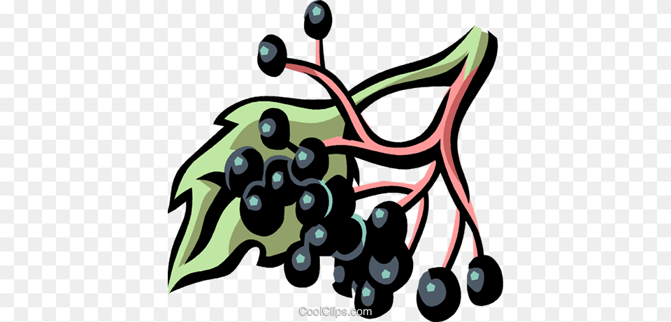 Elderberry Royalty Free Vector Clip Art Illustration, Berry, Blueberry, Produce, Food Png