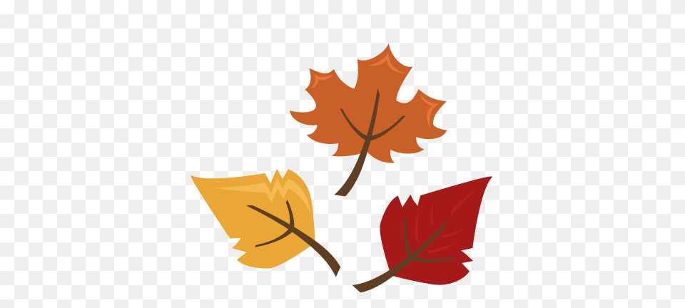 Elderly Falls Clipart Clipart, Leaf, Plant, Maple Leaf, Tree Free Png Download
