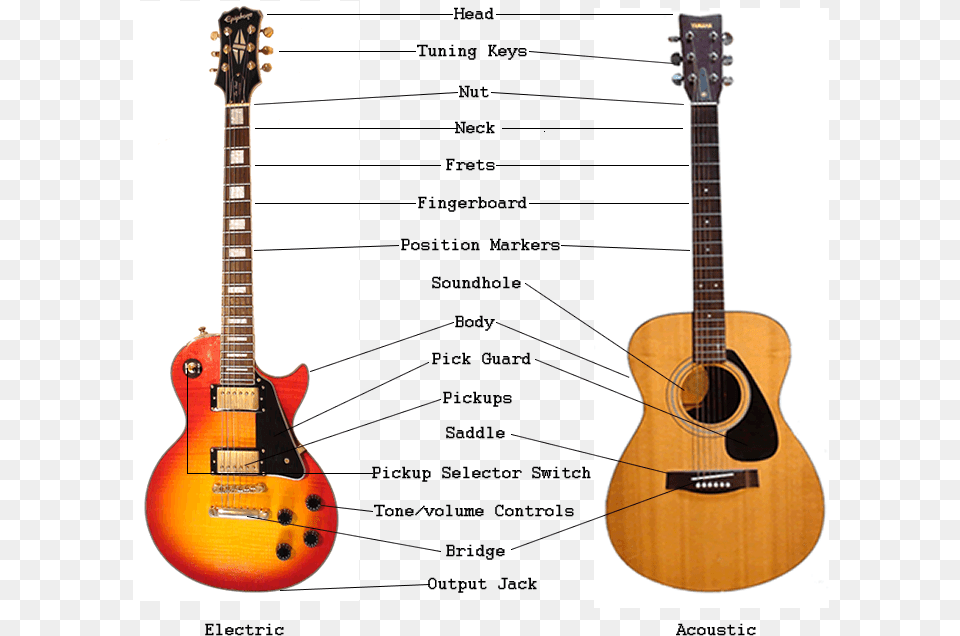 Electric And Acoustic Guitar Parts Anatomy Learn Guitar, Musical Instrument, Bass Guitar Free Transparent Png