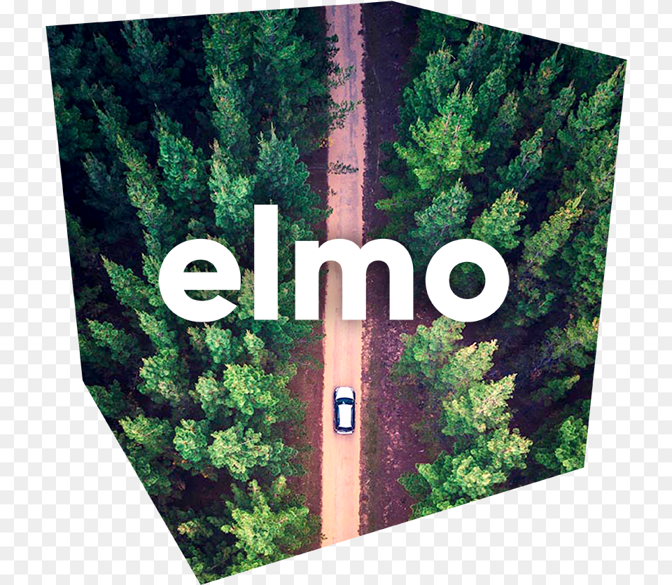 Electric Car Subscription Flexible And Affordable Mavic Pro Forest Photo Tip, Woodland, Vegetation, Tree, Plant Free Transparent Png